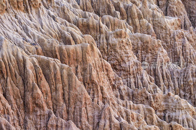 由圣地亚哥拉霍亚海岸的torrey pine侵蚀砂岩悬崖的特写图案